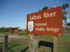 Entrance to Salinas River National Wildlife Refuge.: 1024x768